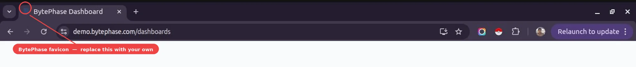 Default BytePhase favicon shown in the browser tab before it is replaced with a custom logo