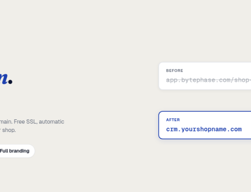 How to Set Up a Custom Domain in BytePhase CRM